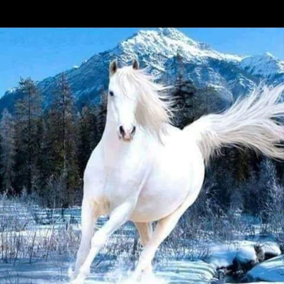 Meet your Posher, Farhan - Picture 1 of 1